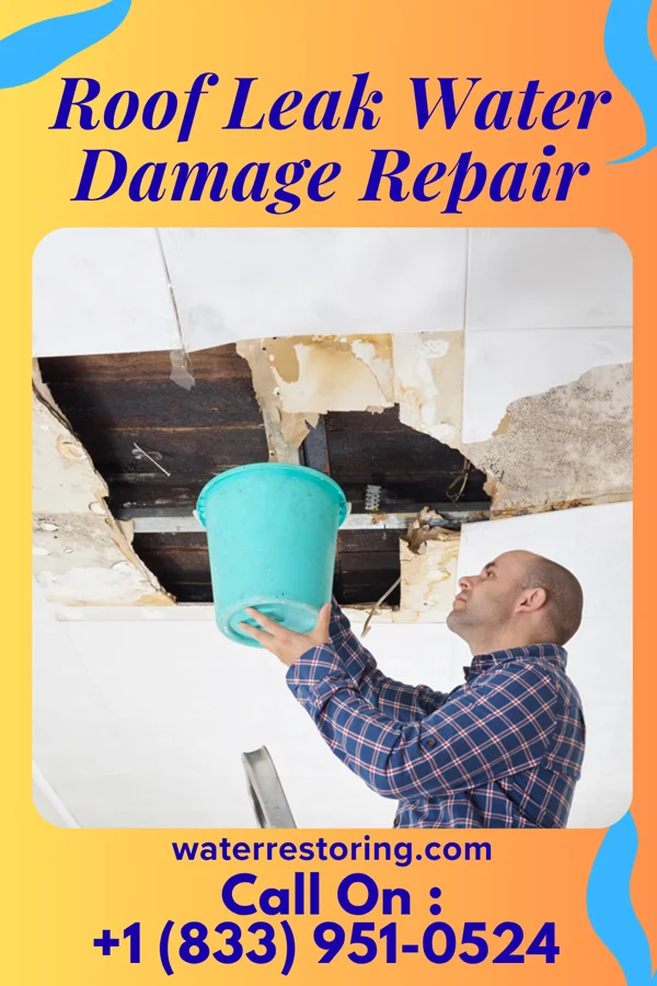 Roof Leak Water Damage Repair in Bogata, TX